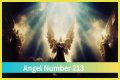 
ANGEL NUMBER 213
