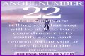 
ANGEL NUMBER 22
