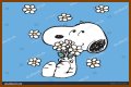 Be snoopy