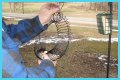 How To Put A Slinky On A Bird Feeder Pole?