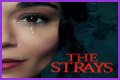“The Strays” Is Set To Released On Netflix