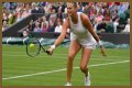 Wimbledon 2021: Aryna Sabalenka vs Karolina Pliskova Preview, Head to Head and Prediction