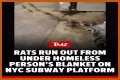 Rats Run Out From Under Homeless Person's Blanket on NYC Subway Platform